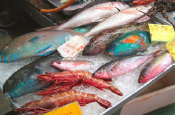 Itoman fishing cooperative Fish Center