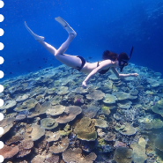 Okinawa Skindiving