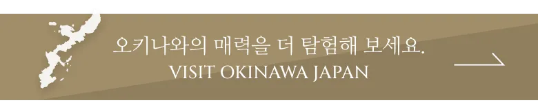 Okinwaの魅力をもっと探索しよう