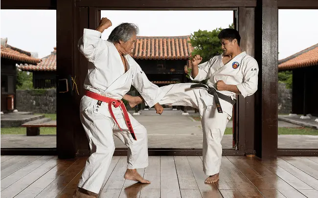 A Journey Through Okinawan Karate