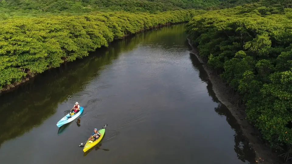 SUP along Ishigaki Island’s Miyara River Mangroves