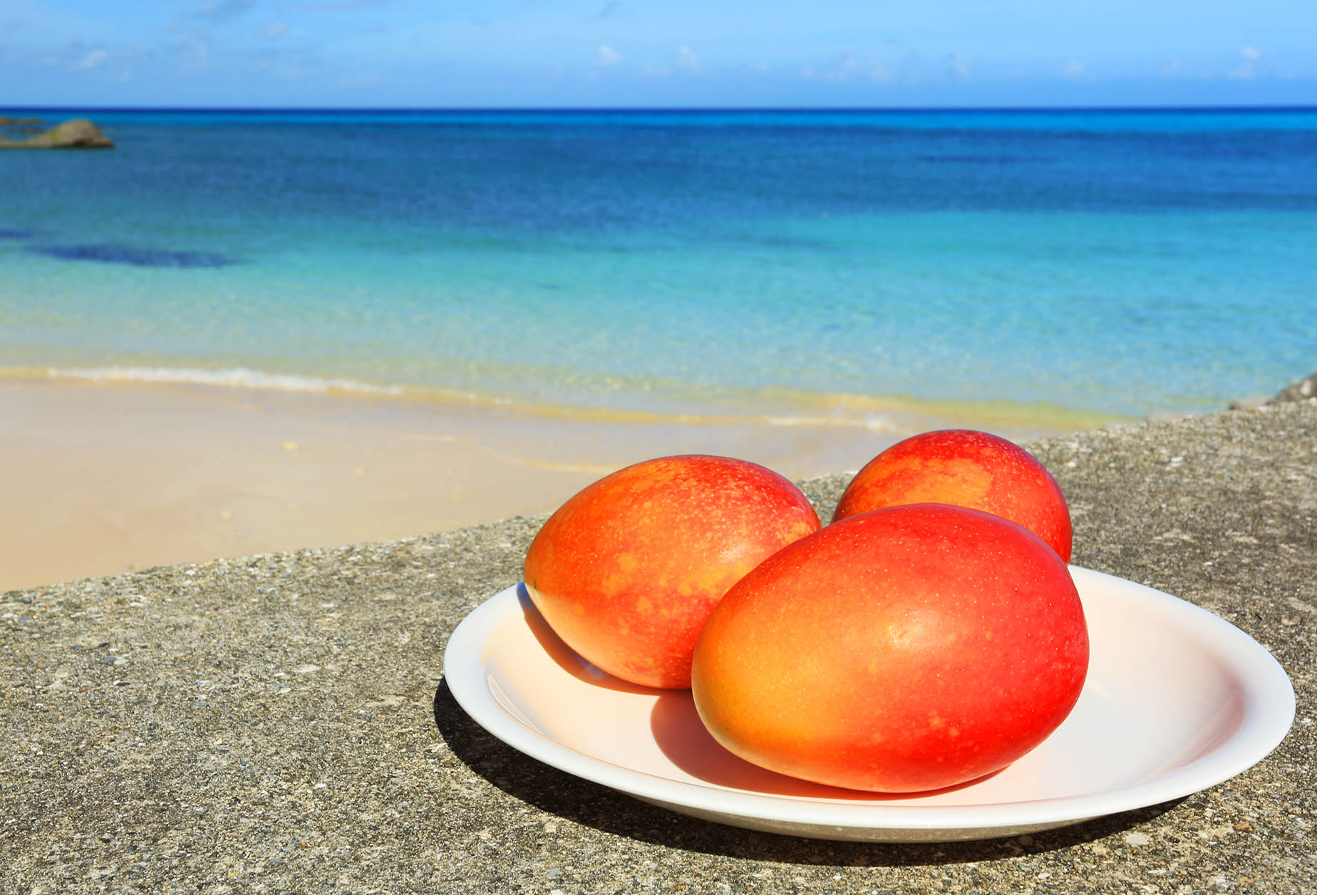 miyako island mangoes