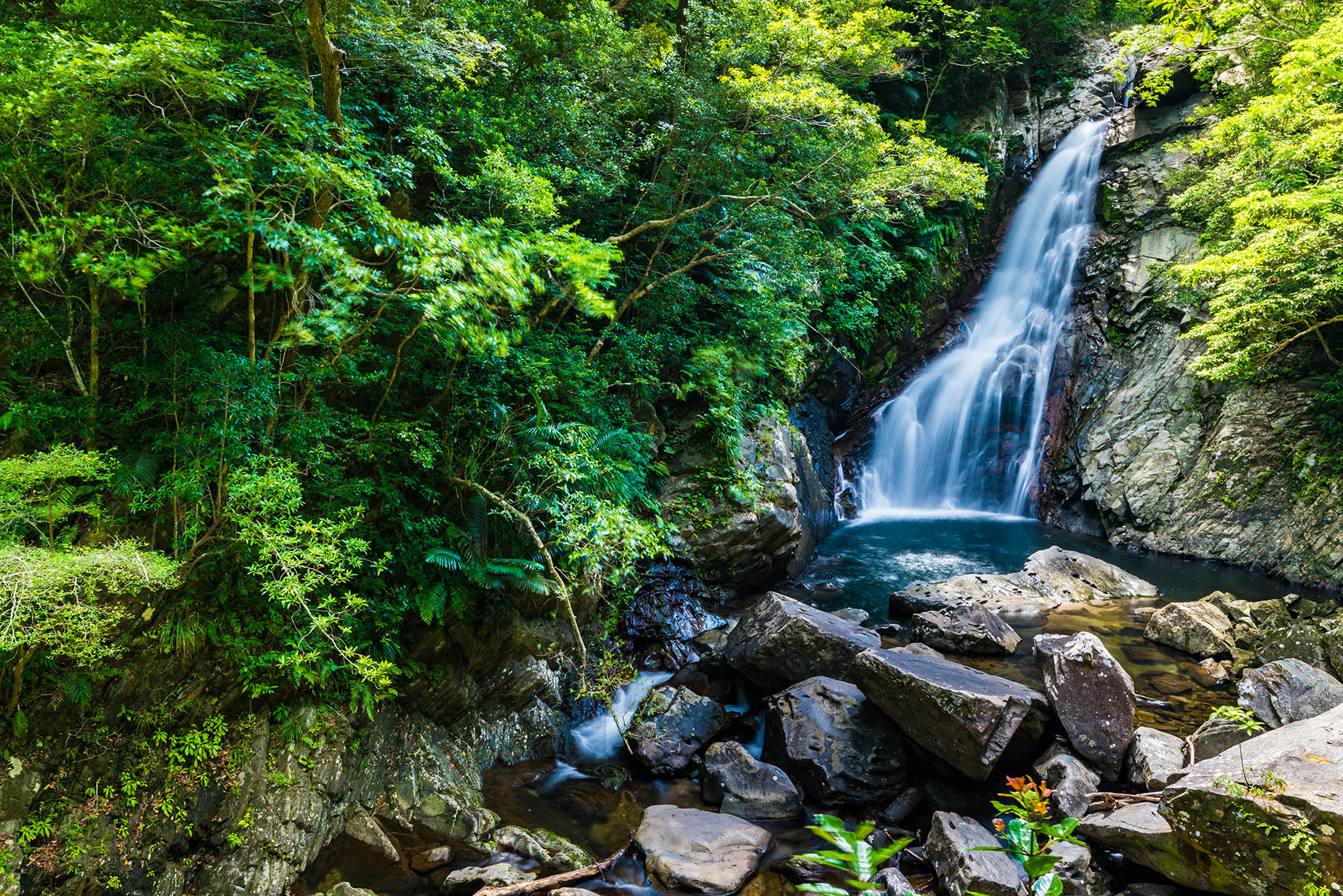 yanbaru waterfall forest