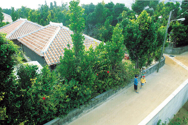 tonaki island village scenery