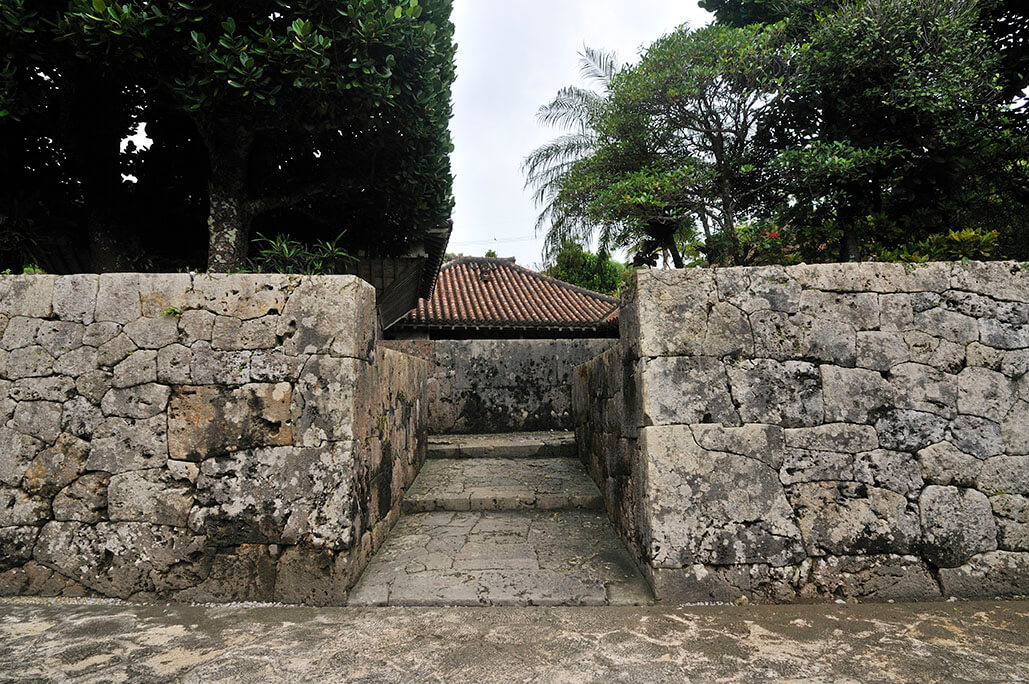 limestone coral wall