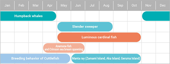 kerama islands sea life chart