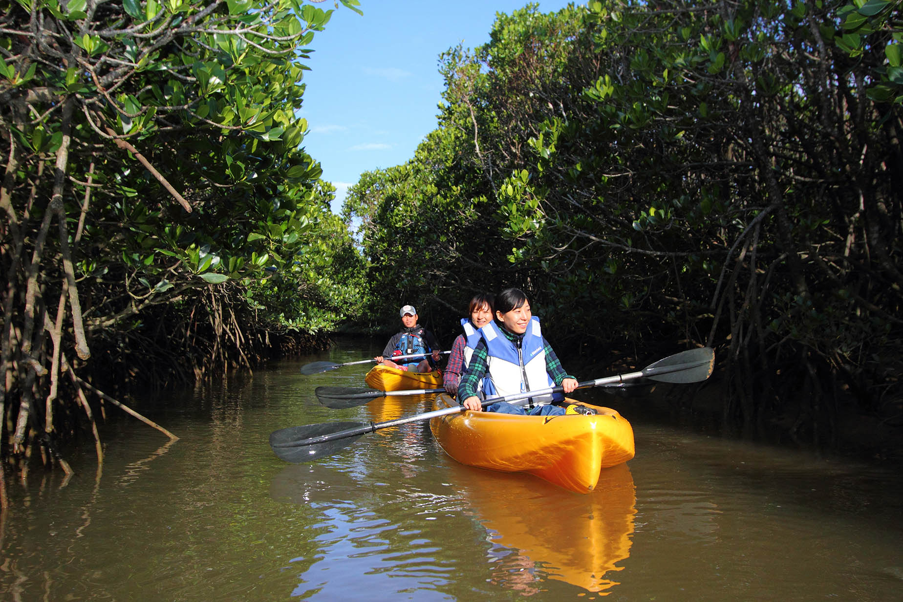 july kayaking mangrove okinawa