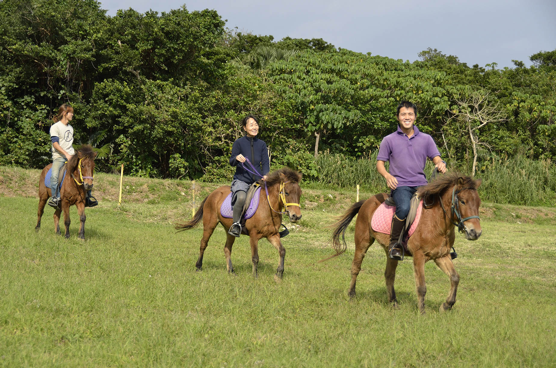 september yonaguni ponies