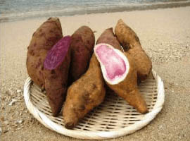 okinawa sweet potato