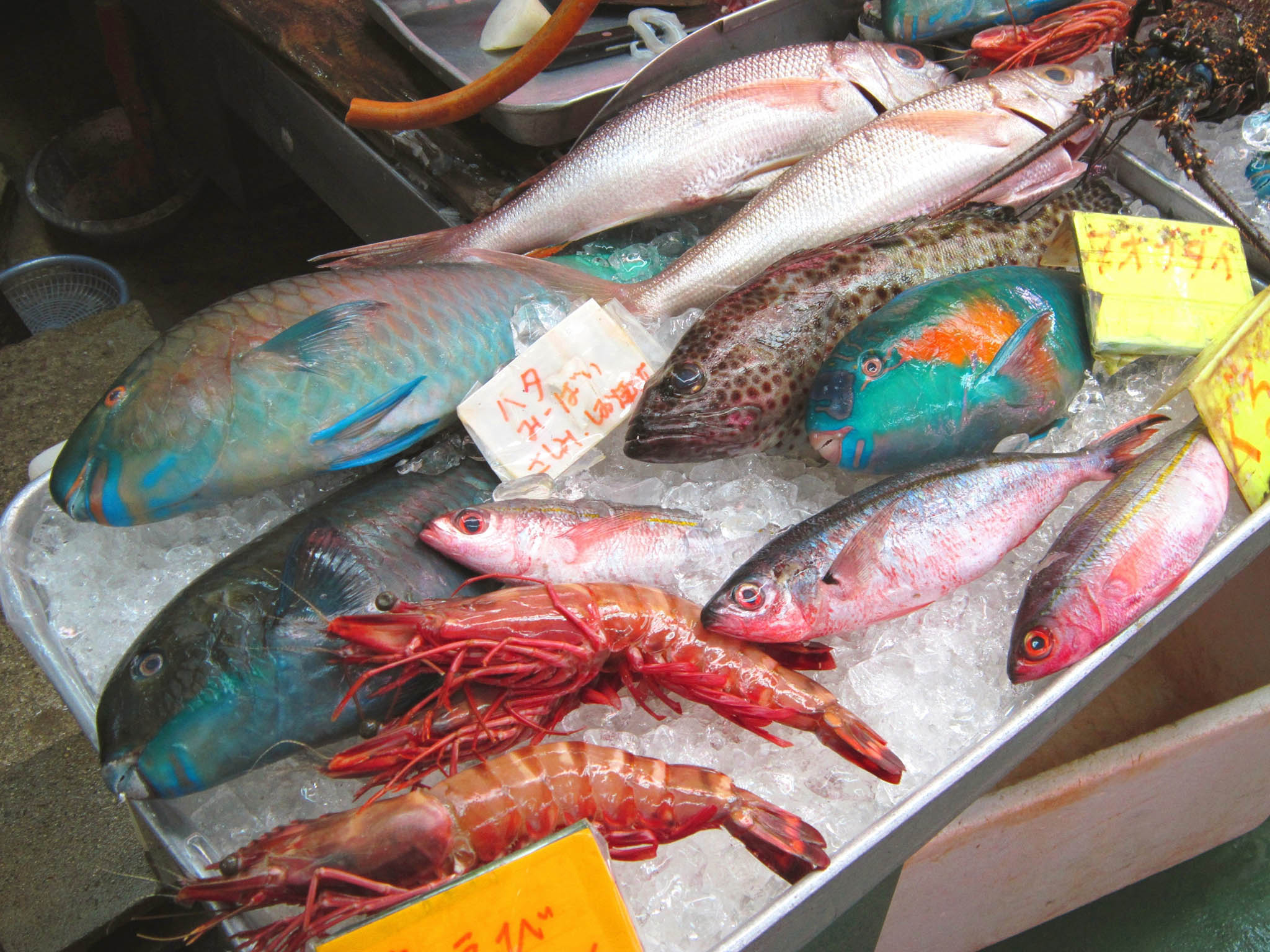 fresh seafood okinawa