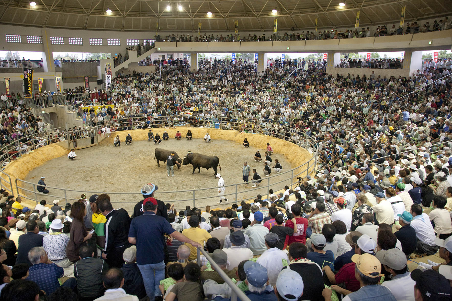 bullfighting match view