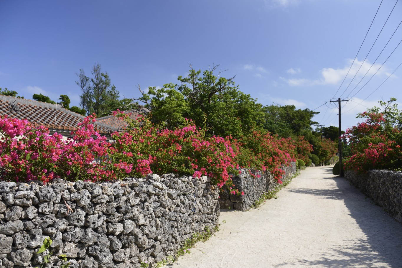 taketomi village limestone walls