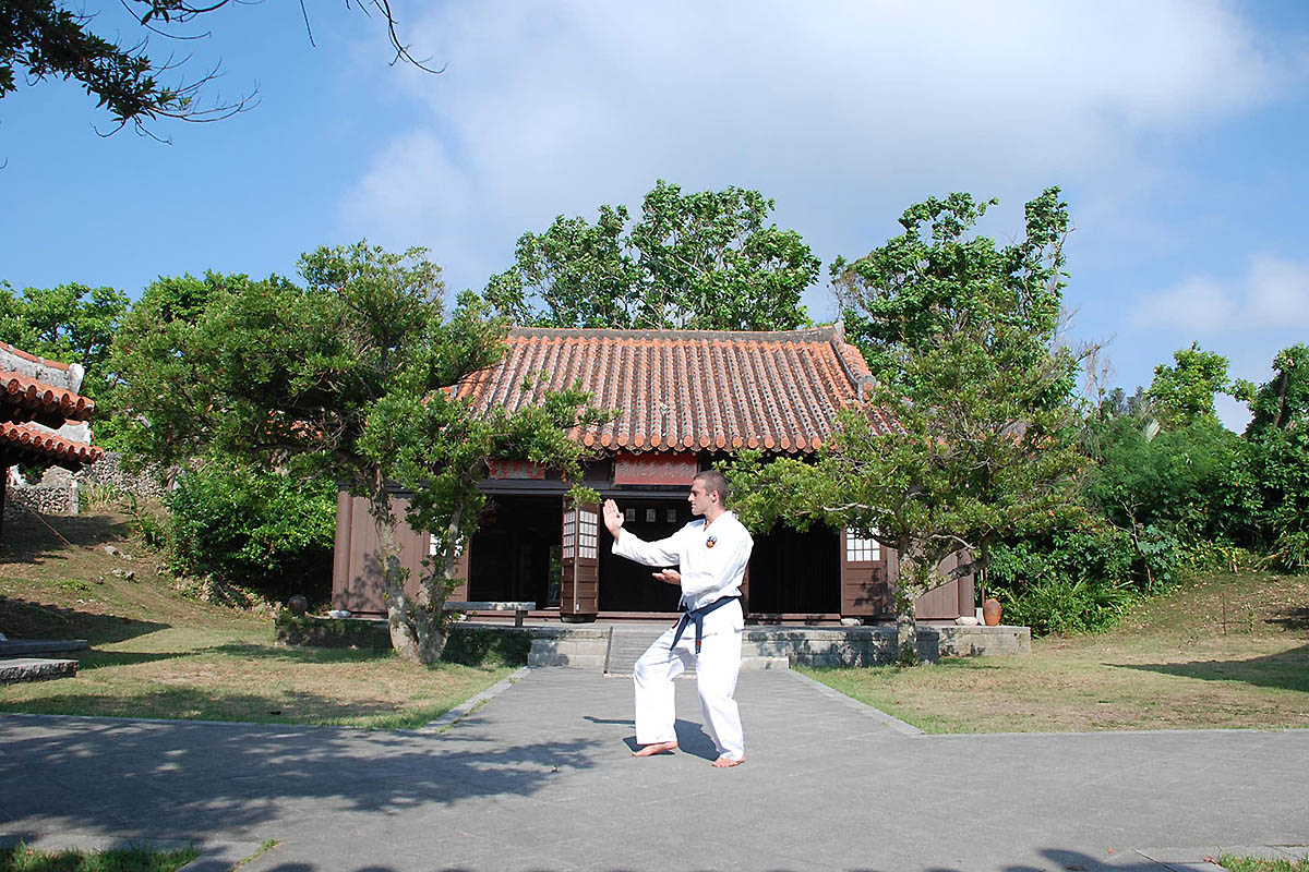 karateka practising