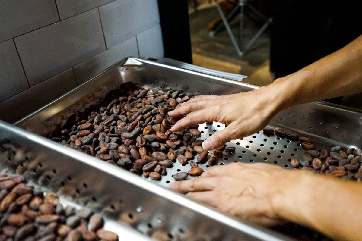 timeless chocolate cocoa beans