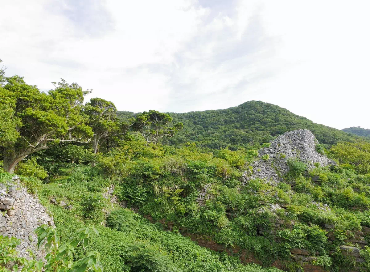motobu peninsula forest scenery