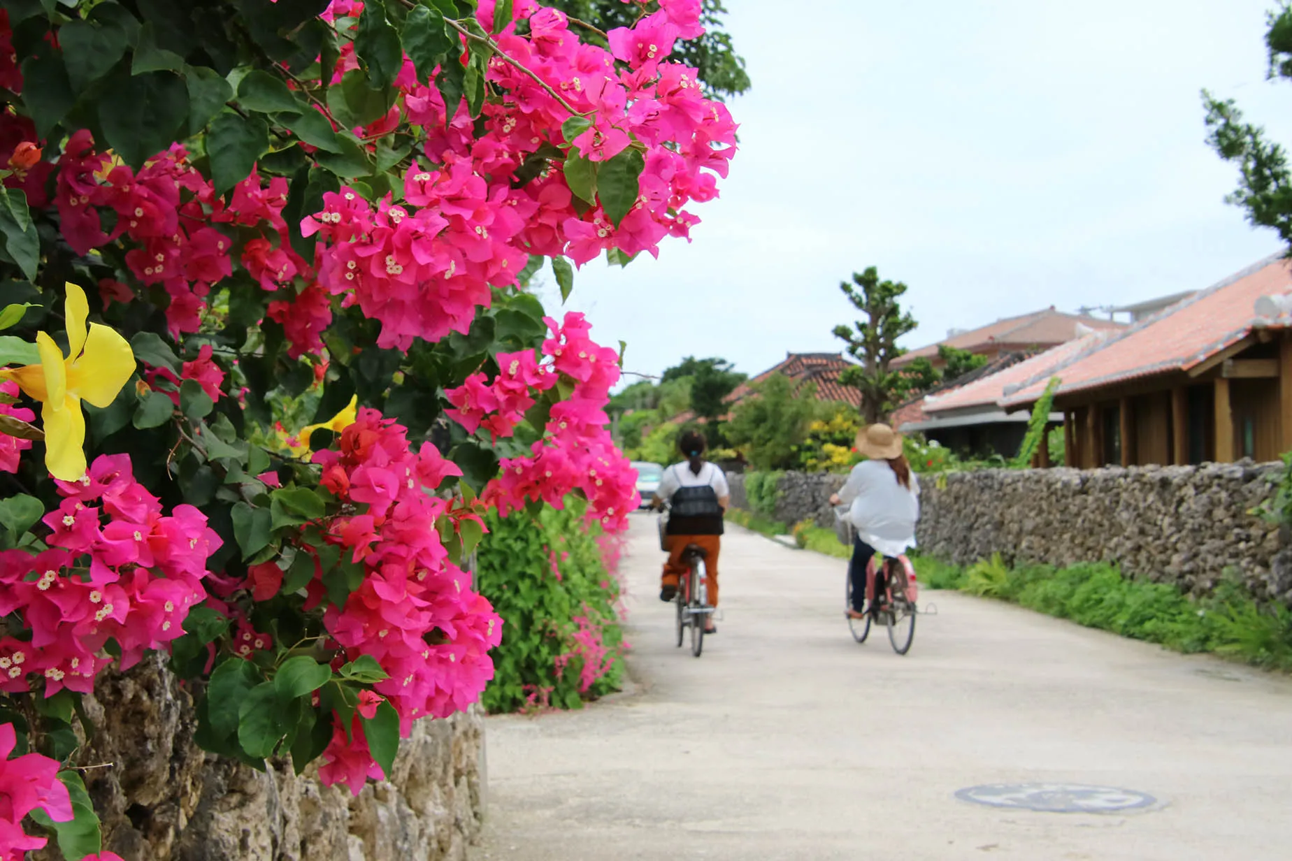 taketomi island cycling