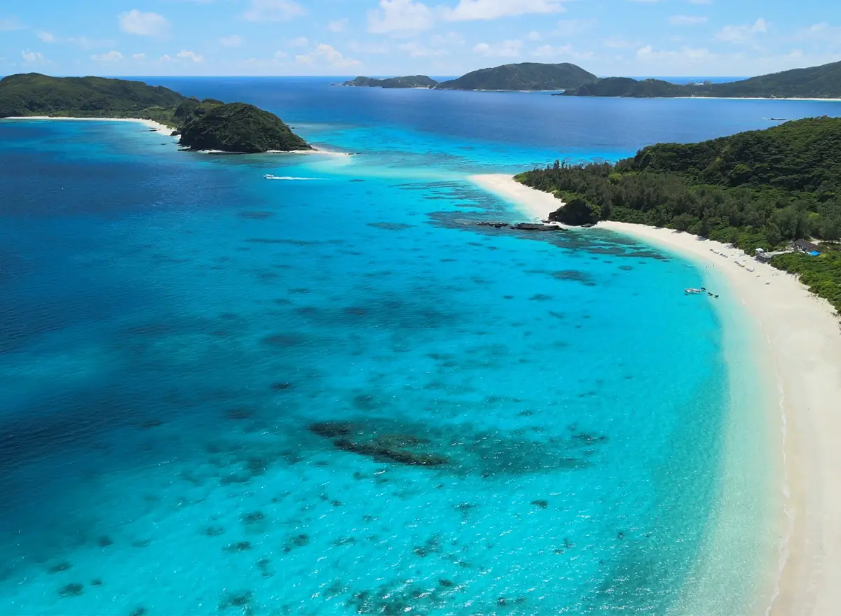 zamami island coral reef sea