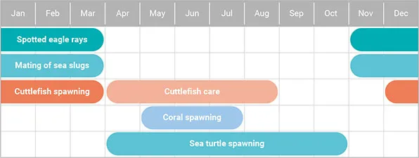 okinawa main island chart