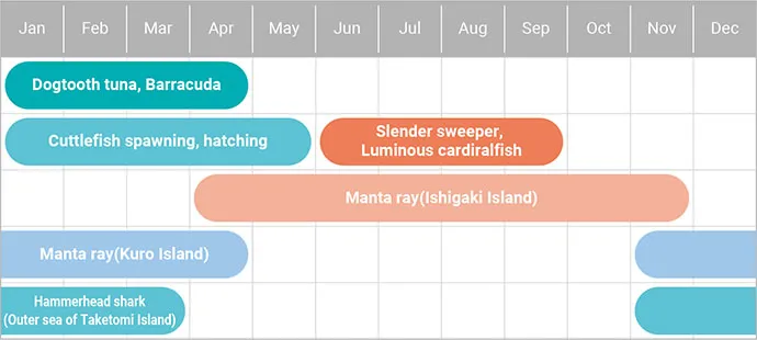 yaeyama islands sea chart