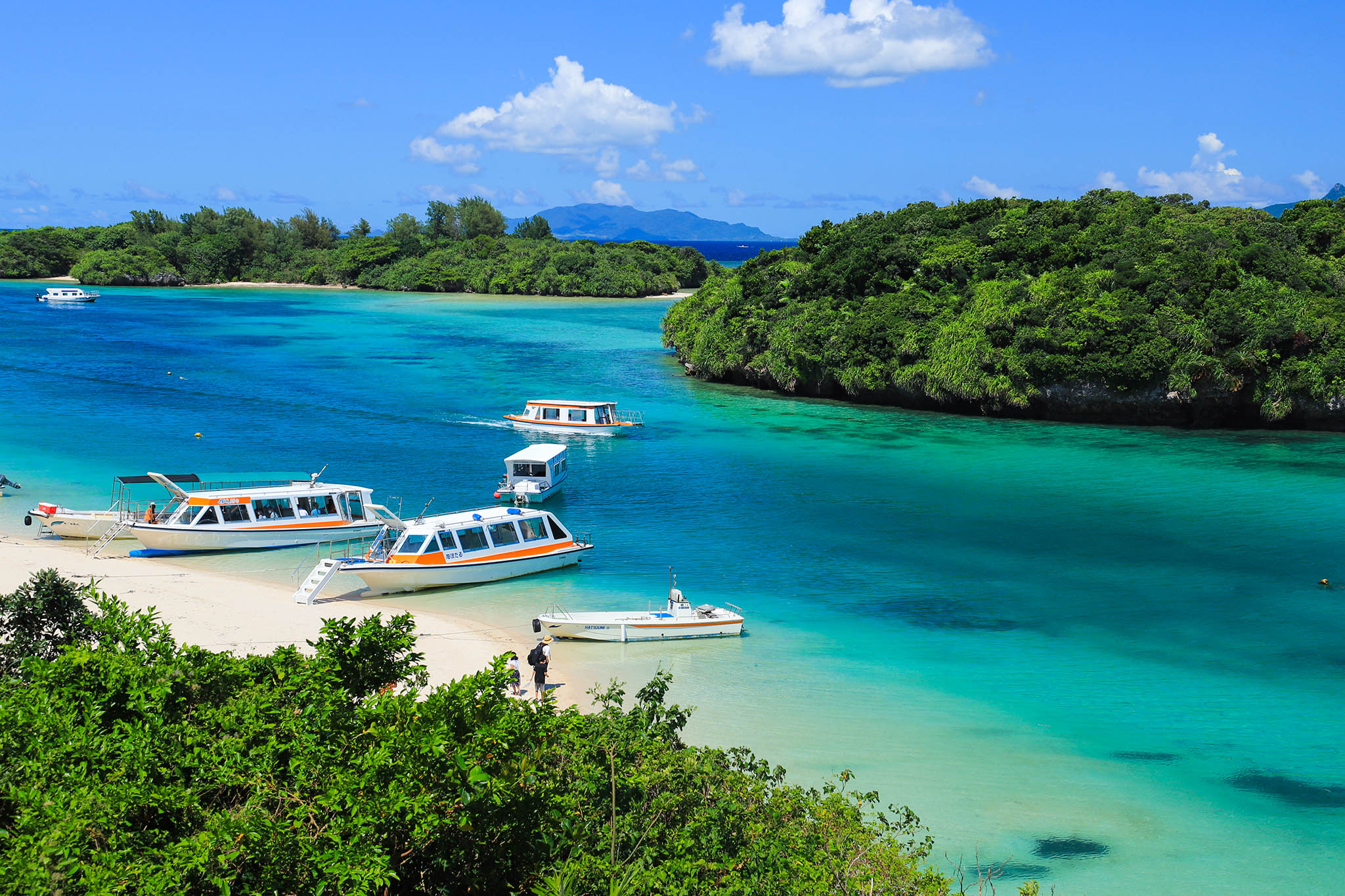 yaeyama islands diving