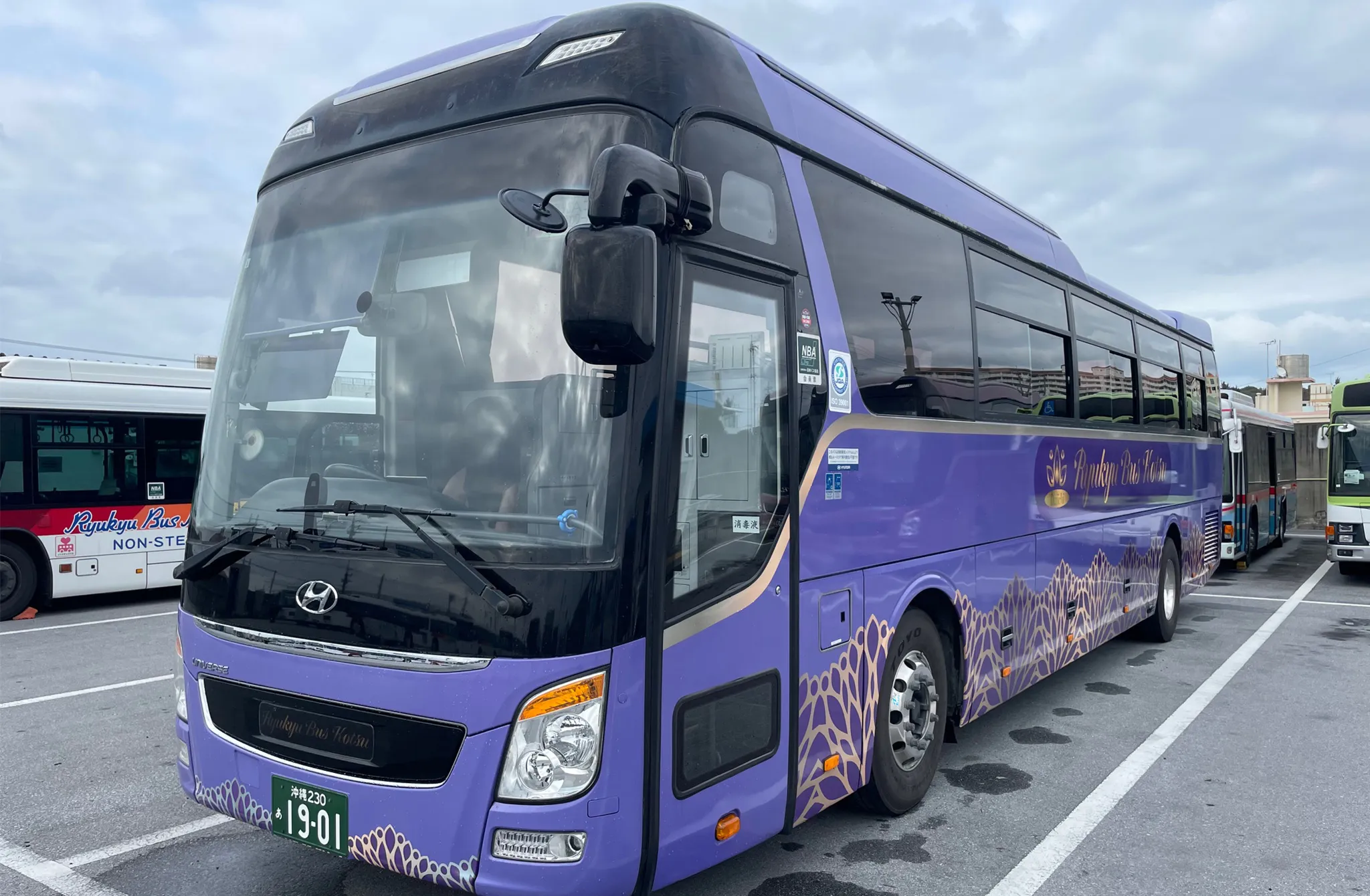 okinawa tour buses