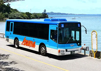 buses on ishigaki island