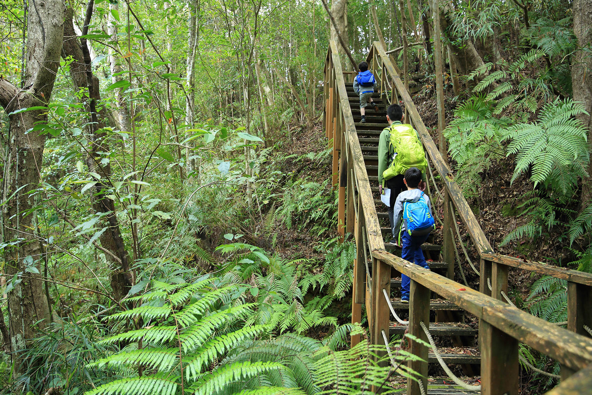 march hiking okinawa