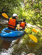 useful information travel insurance