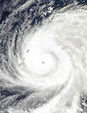useful information typhoon