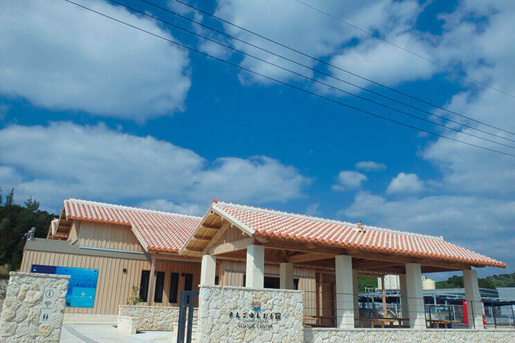 阿嘉島的國立公園遊客中心珊瑚交流館