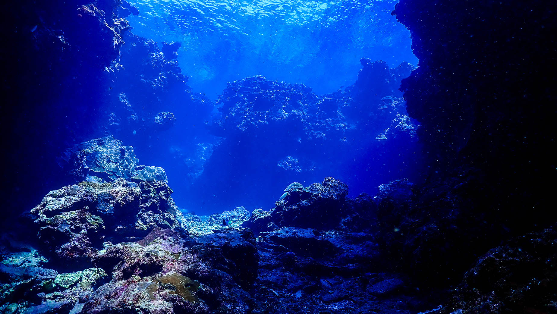 瀨底島的水下洞穴