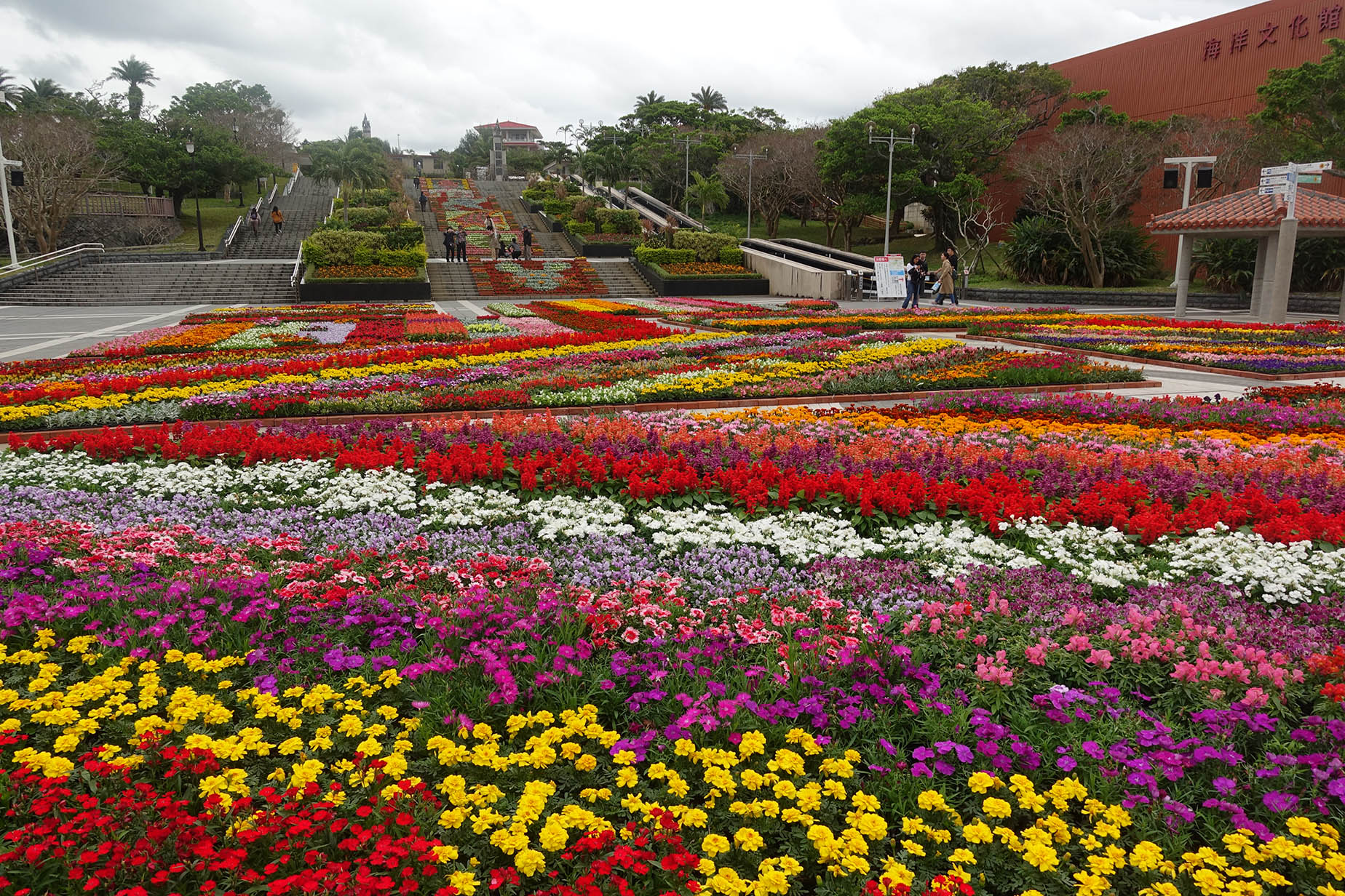 1月沖繩花卉嘉年華