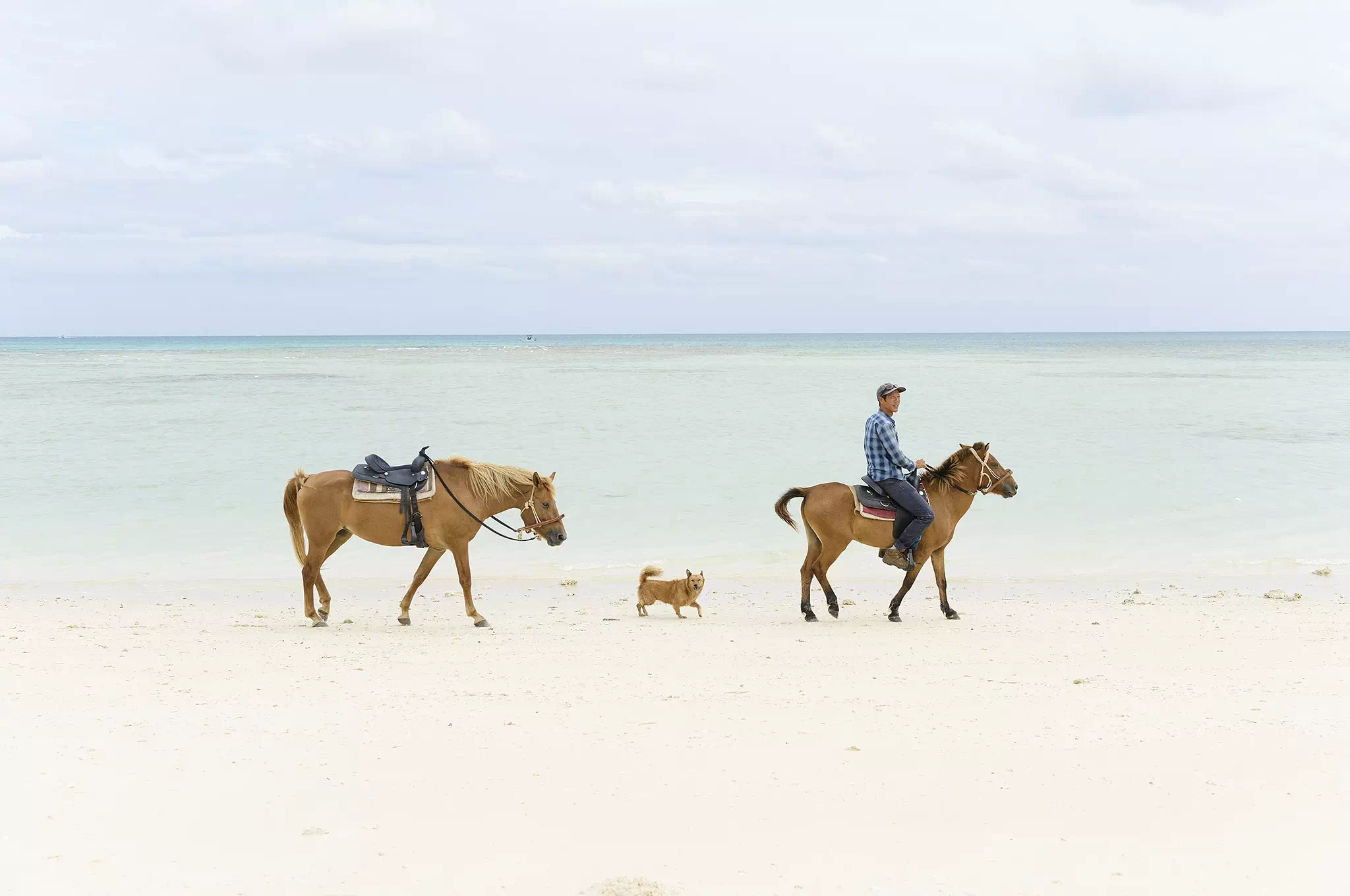 9月沖繩騎馬體驗