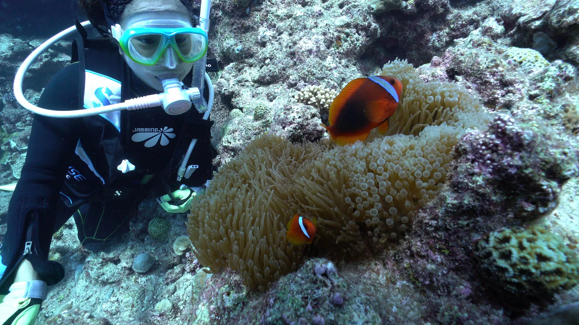 沖繩潛水珊瑚礁