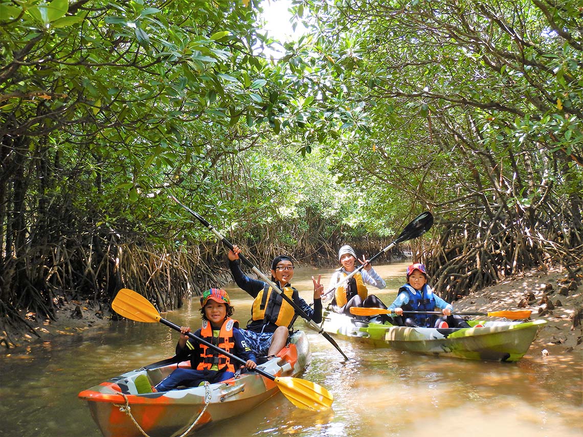 a family kayaking under mangrove trees