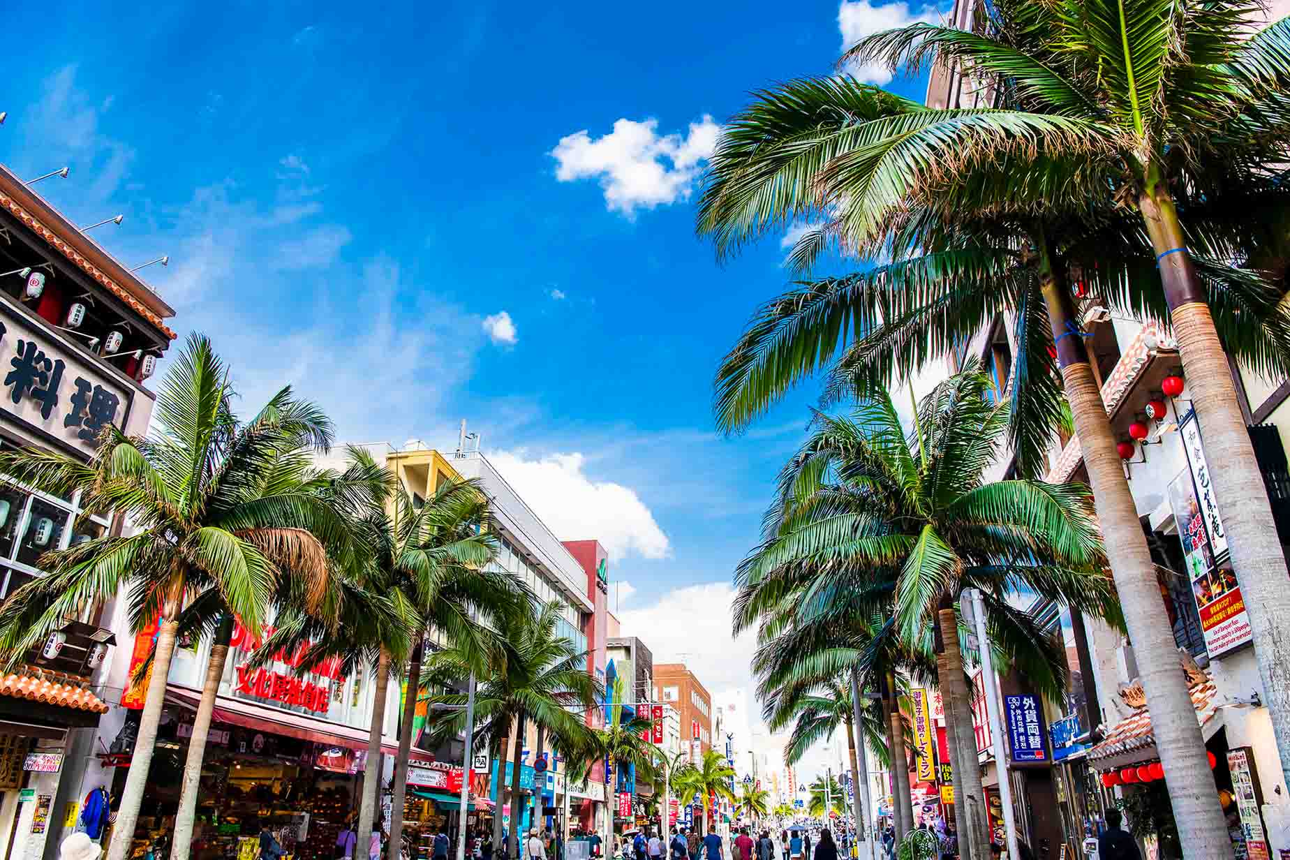 palm trees alongside kokusai street