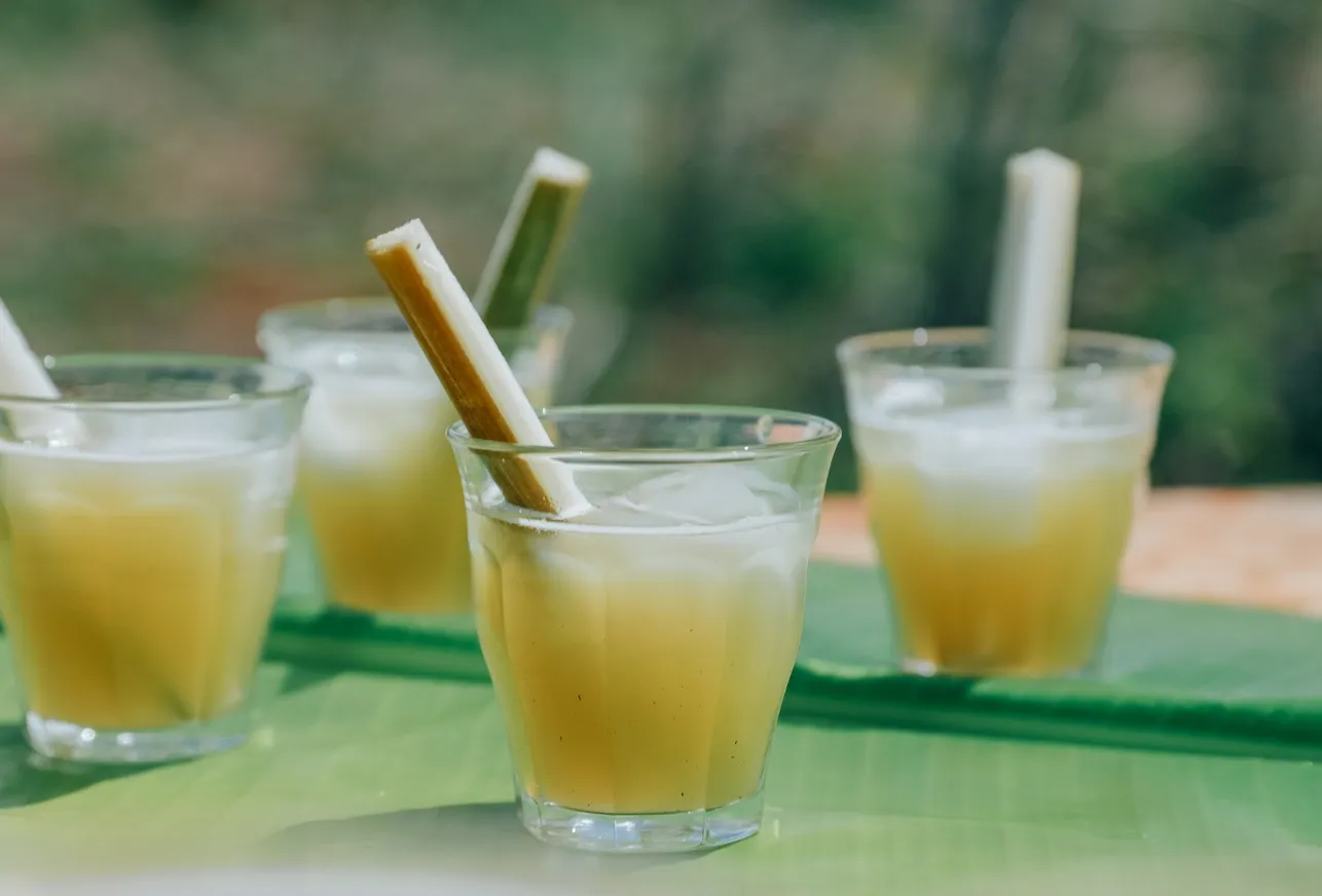 alternative farm miyako