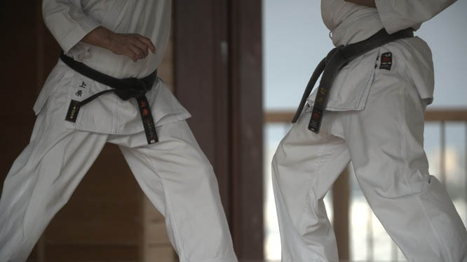 karate international seminar
