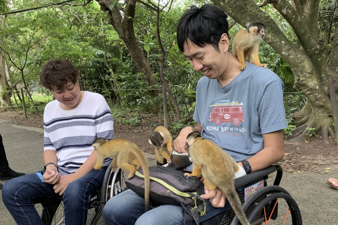 八重山民俗村餵松鼠猴