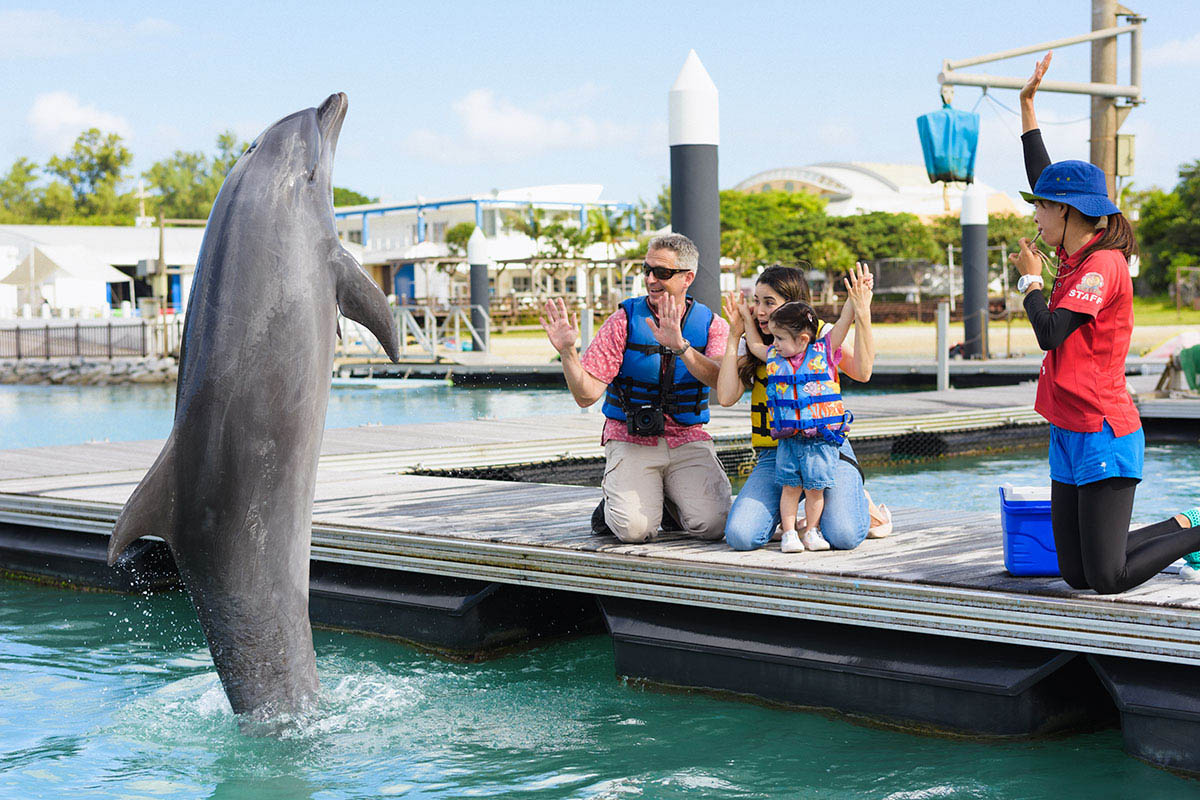 沖繩海豚表演