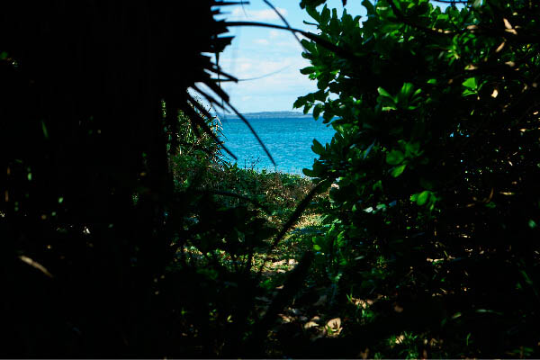 展現沖繩之美「景點魅力」