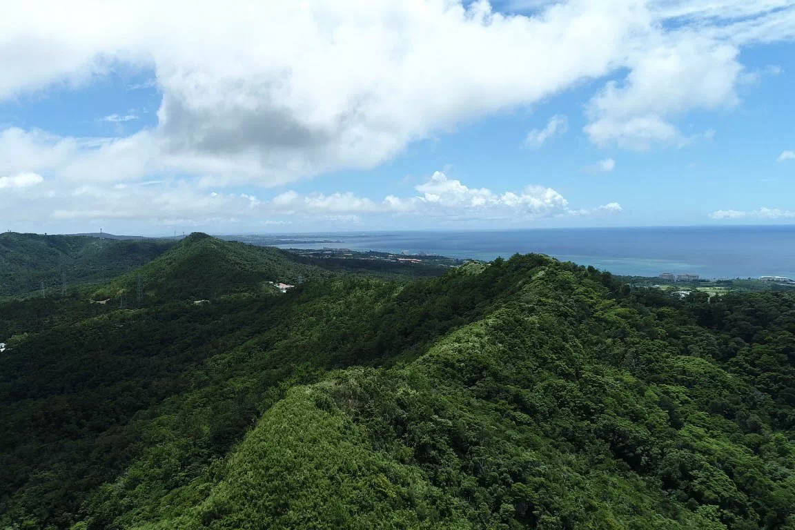 hills and ocean views