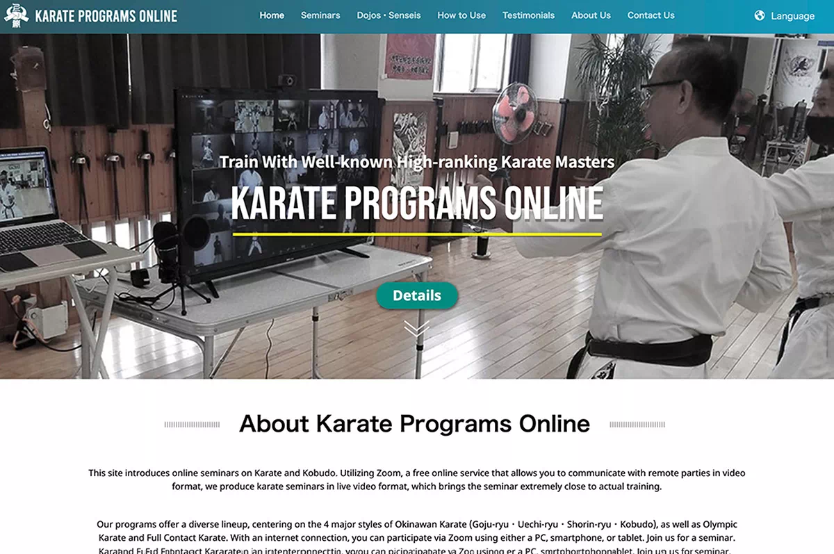 learn about karate online