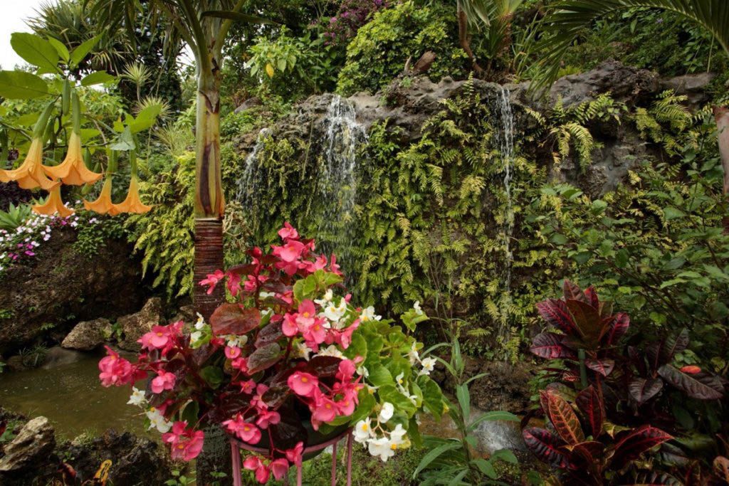 southeast-botantical-garden-fountain