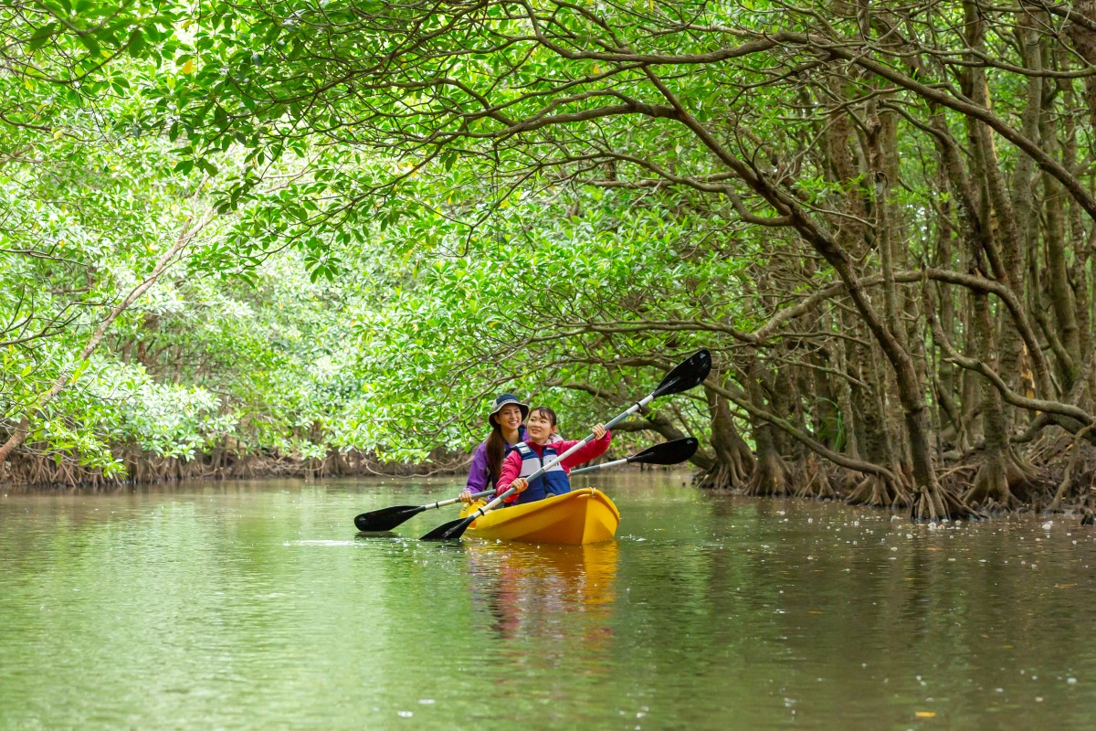 kayaking mangroves okinawa