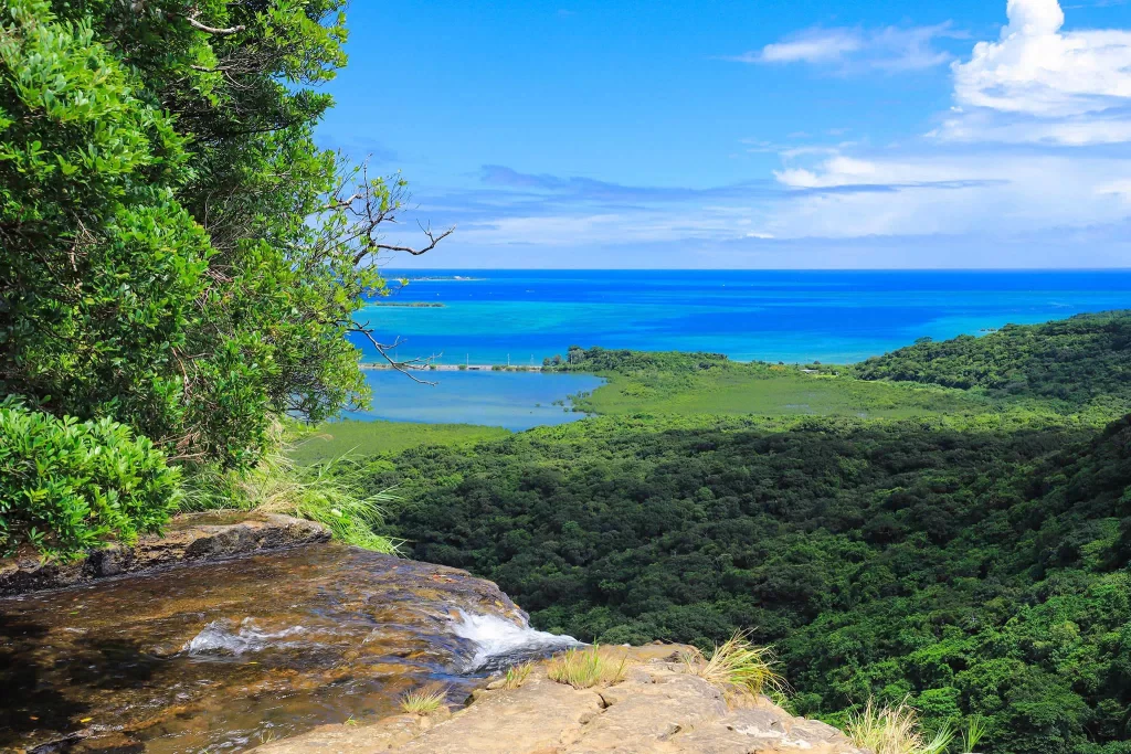 iriomote island scenery