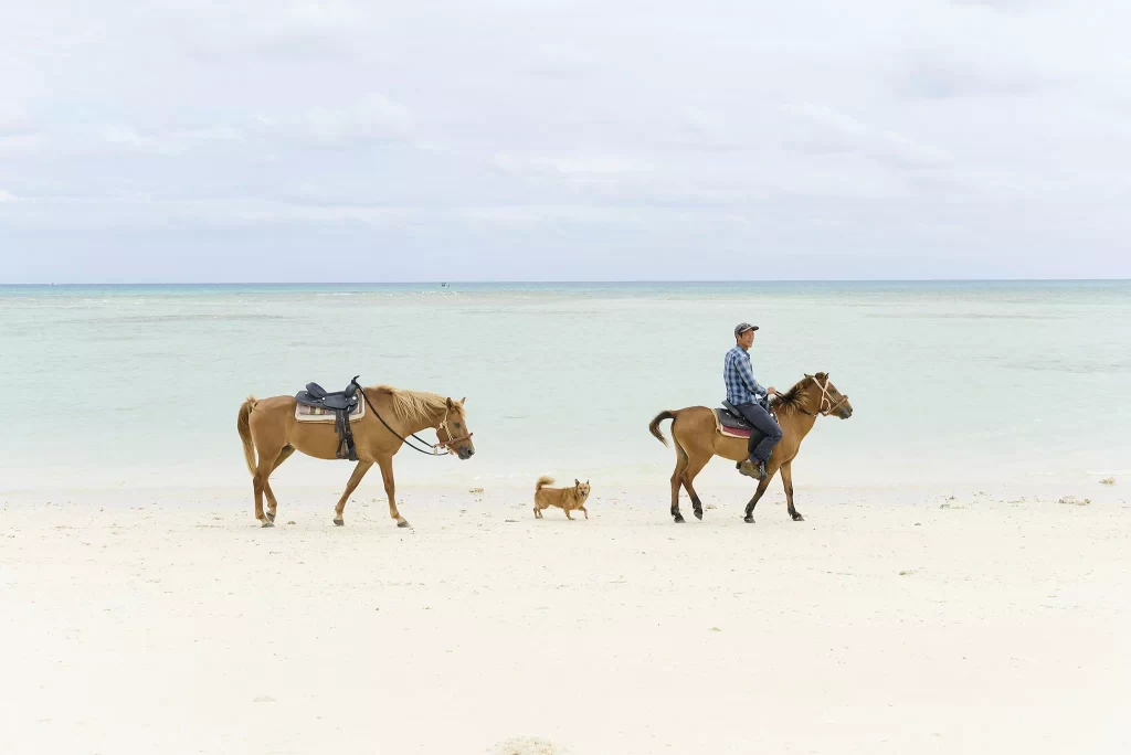 9月沖繩騎馬體驗