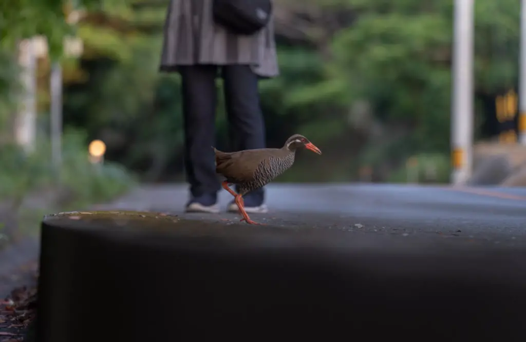 Ada Garden Hotel沖繩