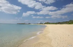 21st Century Forest Beach