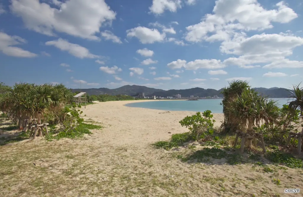 21st Century Forest Beach